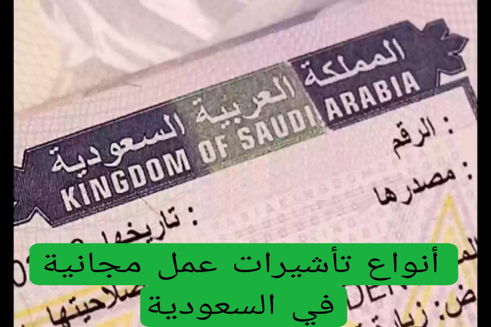 أنواع تأشيرات عمل مجانية في السعودية 